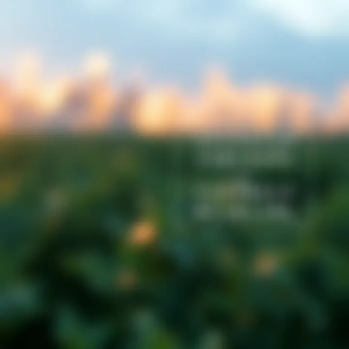 Diagram illustrating binary search splitting a sorted array to efficiently find a specific element