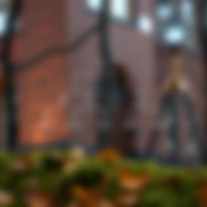 Diagram showing a binary search tree with nodes arranged to minimize search cost